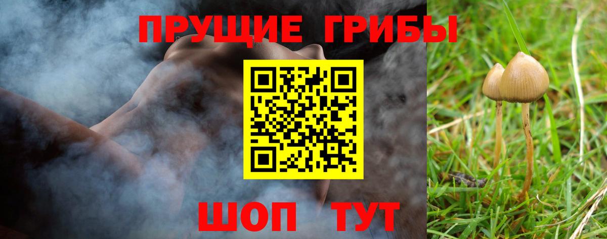 Псилоцибиновые грибы Magic Shrooms  Вход с VPN  Сафоново 
